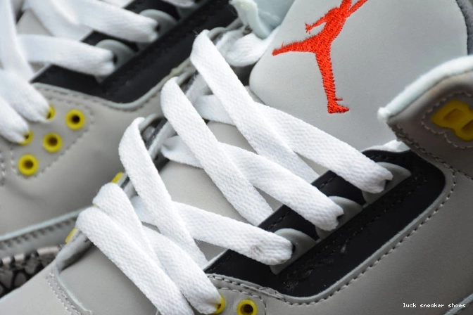 Rep LUCY Retro Grey 3 Cool CT8532-012 (2021) Air Jordan 0712